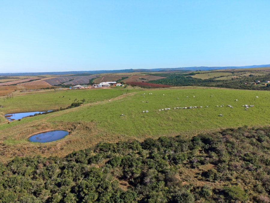 5 Bedroom Property for Sale in East London Rural Eastern Cape